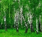 https://naurok-test2.nyc3.digitaloceanspaces.com/uploads/test/341834/1658858/517302_1663951004.jpg